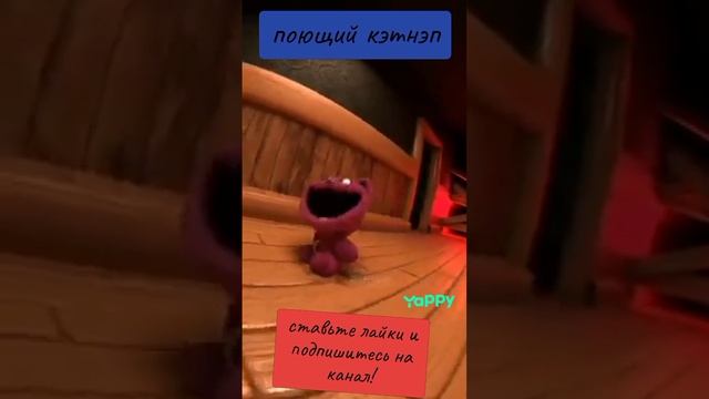 поющий кэтнэп