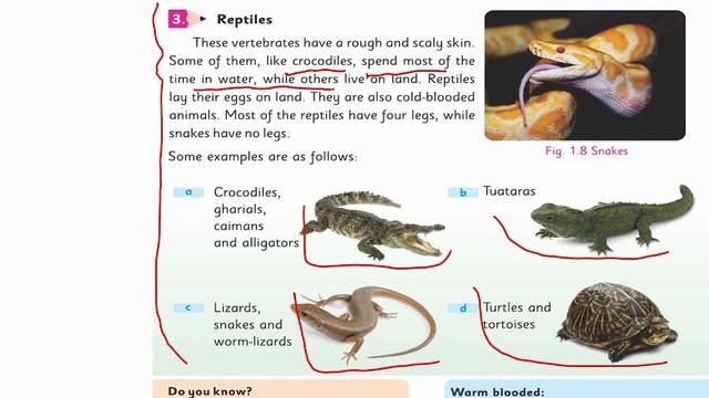 Science Class 5 Chapter 1 Lecture 3 смотреть онлайн
