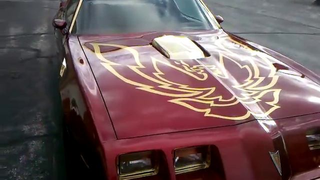 SOLD 1979 Pontiac Trans am, call 989-295-5955 смотреть онлайн