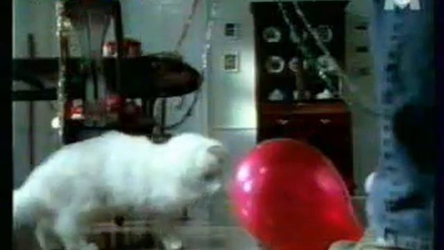 Brush.wmv смотреть онлайн