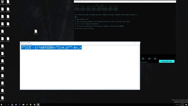 XeroWare RansomWare Vs Windows Server 2016 смотреть онлайн