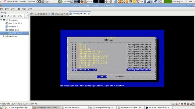 Lesson 2 FreeBSD Unix: Methods of Installing Applications (English Version) смотреть онлайн