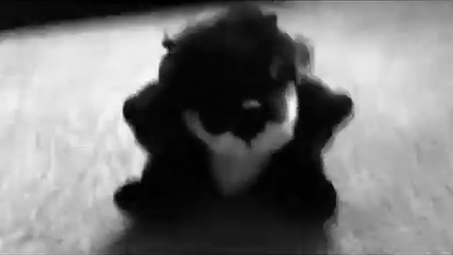 Get Low смотреть онлайн