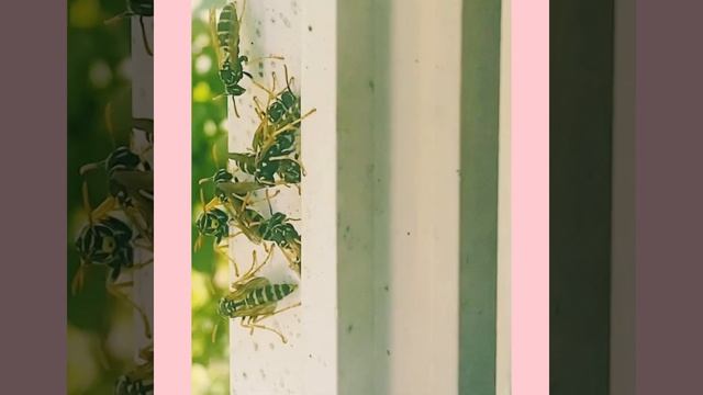 NEVER opening my bathroom window again! смотреть онлайн