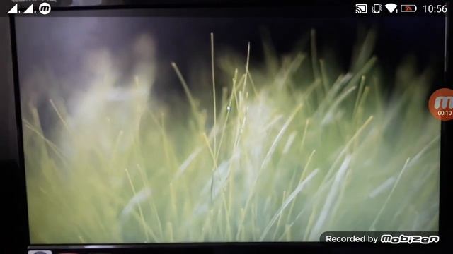 Microsoft Windows Vista XP Windows LongHorn Shutdown Google Animation смотреть онлайн