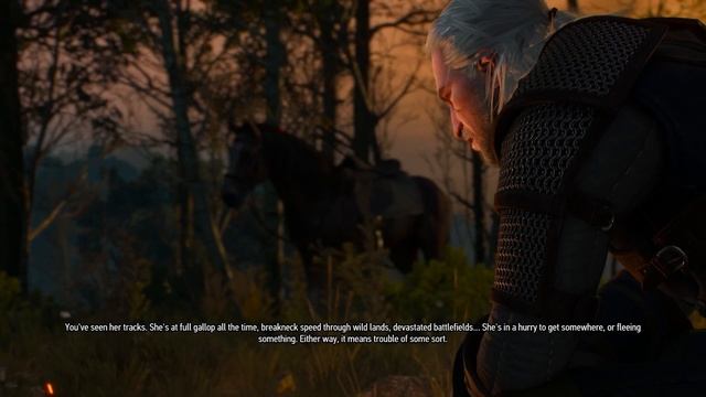 THE WITCHER 3 WILD HUNT (NEW ACCESS) [GAMEPLAY] смотреть онлайн