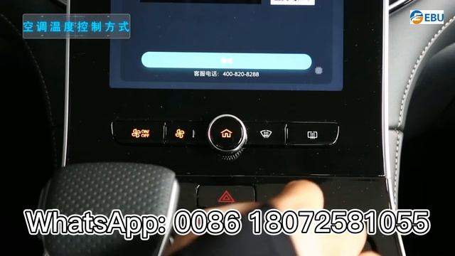SAIC Feifan ER6 Vehicle Function Display