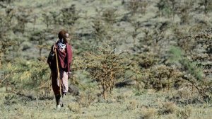 МАСАИ. САМЫЕ ВЫСОКИЕ ЛЮДИ НА ПЛАНЕТЕ, КЕНИЯ.ТАНЗАНИЯ.