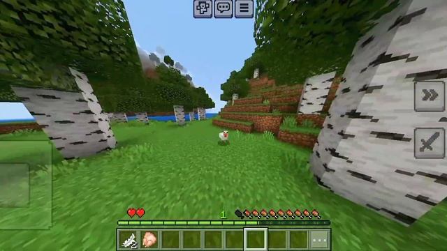 MORPH MOD FOR MINECRAFT PE 1.20/1.21 || MORPH INTO ANY MOB смотреть онлайн