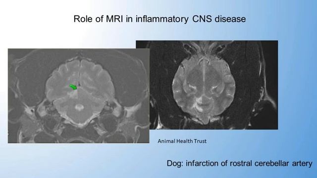 Neurology for imagers focus on inflammatory CNS disease - Dr. Lara Matiasek смотреть онлайн