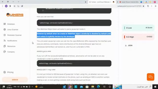 36# Webview Vulnerabilitiy Report смотреть онлайн