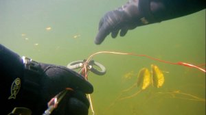 Подводная охота с арбалетом на щуку Хороший прозрак