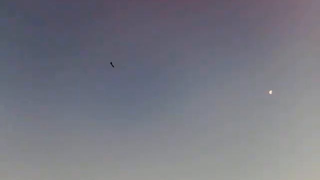 F-35 Freewing segundo vuelo en facu y crash.mp4 смотреть онлайн