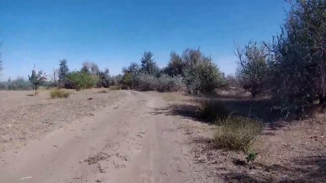 Волгодонск Романовская Волгодонск по инициативе сына смотреть онлайн