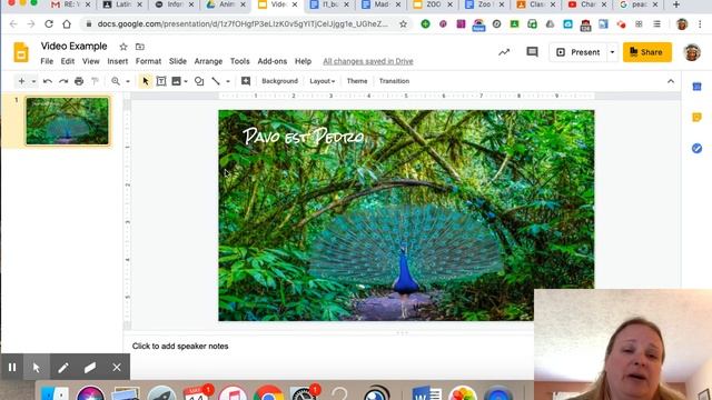 Slides to adobe spark смотреть онлайн