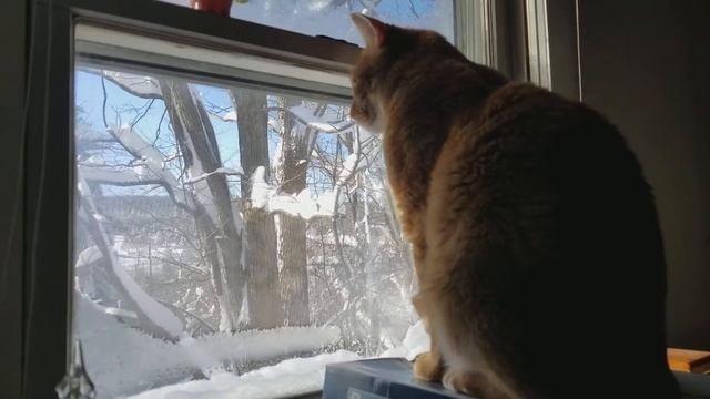 Cooper looking at the window,watching snow смотреть онлайн