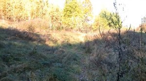 Тайные тропы Коломенского