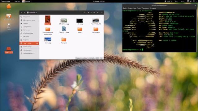 Обзор Ubuntu Gnome 15.04 смотреть онлайн