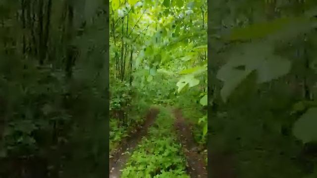 Уаз буханка по лесу с прицепом на бездорожье. смотреть онлайн