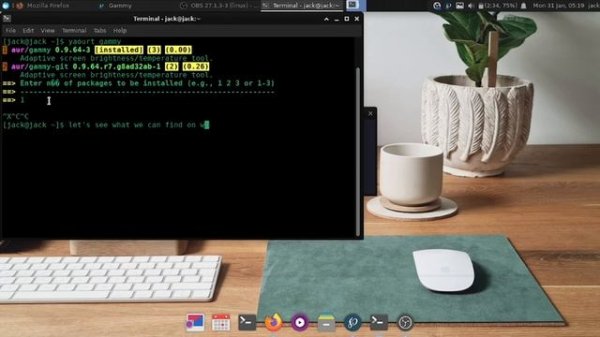 How install gammy on arch linux