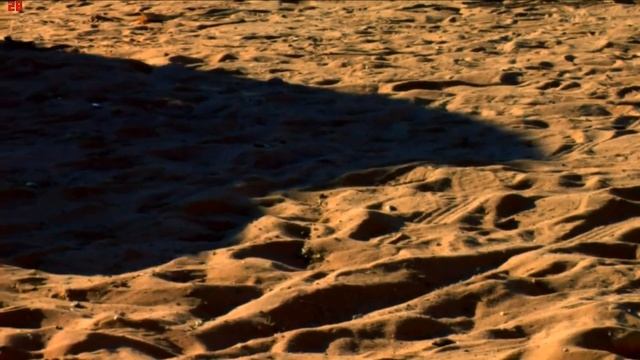 Breaking Bad Season 2 Episode 2 Intro | "Grilled" смотреть онлайн