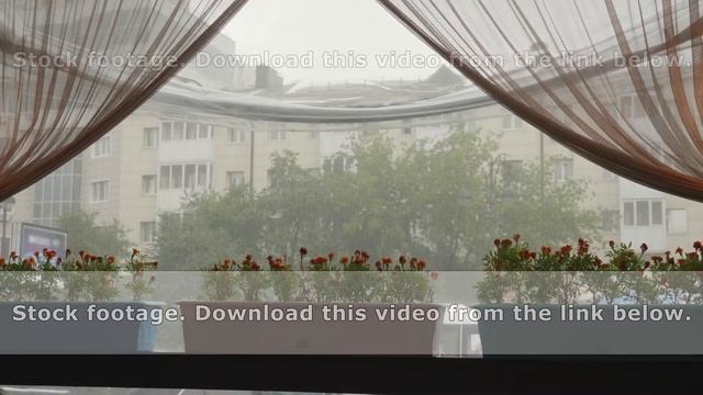 View through cafe window on summer rain at city street. Flowers pot standing on window sill on rain смотреть онлайн