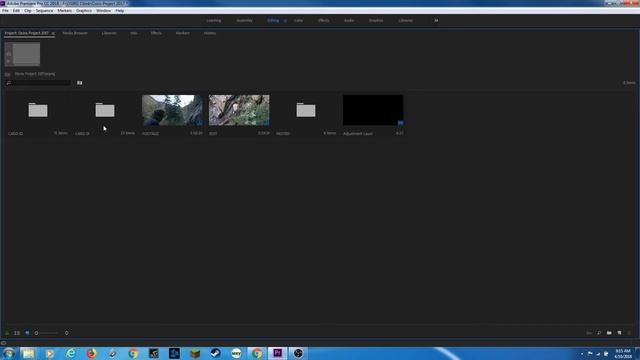 E9 - The Project Panel - Adobe Premiere Pro CC 2018 смотреть онлайн