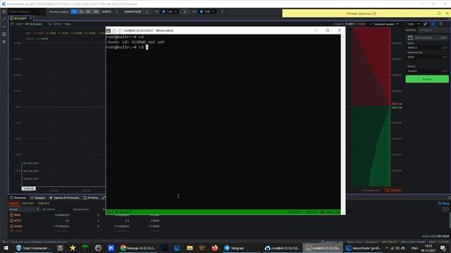 Установка MoonTrader версия 0.5.7539 на vps Debian 10. Запуск MoonTrader и BotClient смотреть онлайн