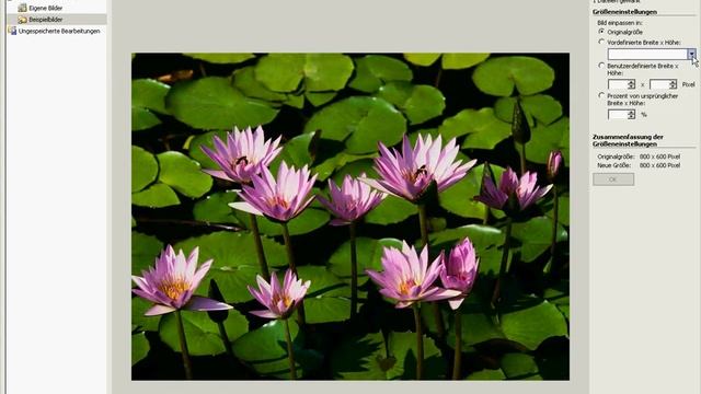 Picture Manager 2003: Bild verkleinern auf "Web Groß" смотреть онлайн