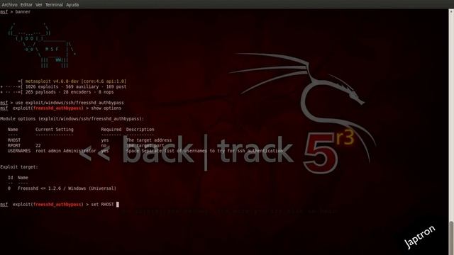 Freesshd Authentication Bypass in Windows 8 + VNC Control смотреть онлайн