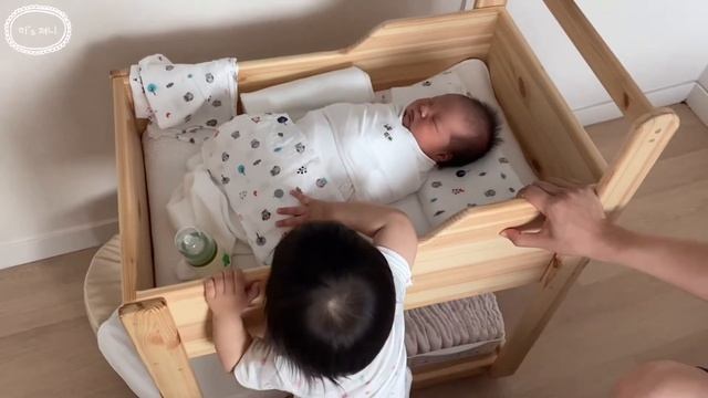 [SUB] Reaction of the first meeting of annual sisters 🤭 / Newborn / Irish twin sisters смотреть онлайн
