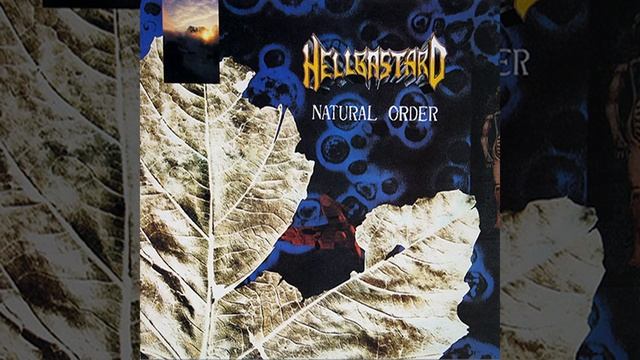 Natural Order смотреть онлайн