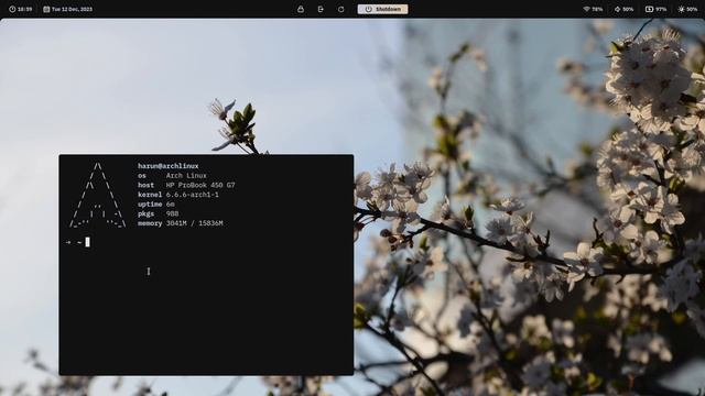 Retro-esque: A Hyprland Rice | Made In Arch Linux With EWW
