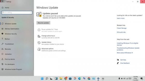 How to fix windows update may have automatically replaced your amd graphics driver