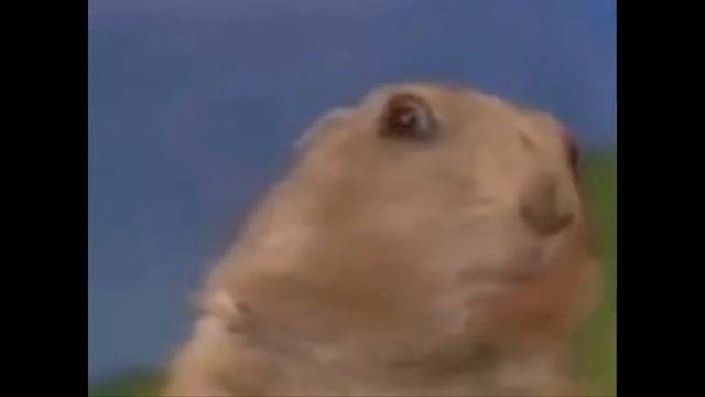 filler.exe.txt.wmv смотреть онлайн