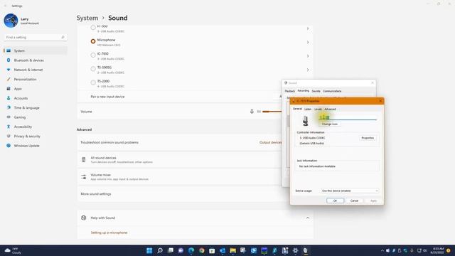 Audio CODEC Settings смотреть онлайн