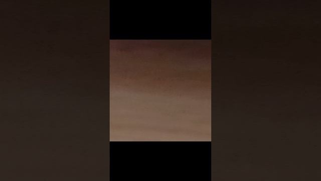 кошка #shorts (15 часть)