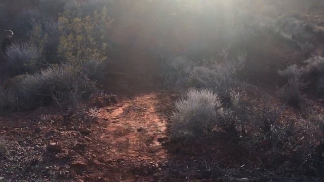 We made a jump in the desert смотреть онлайн