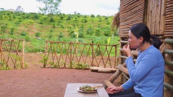 Harvesting Eggplant Avocado Fruit Go to the market to sell | Lucia Daily Life