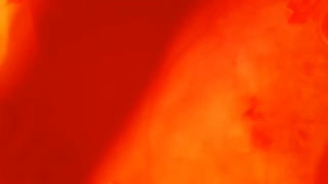 Chicken BBQ grill смотреть онлайн