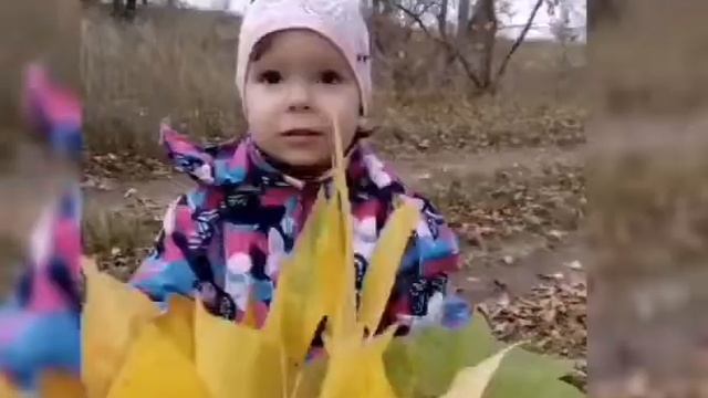 Золотая осень. смотреть онлайн