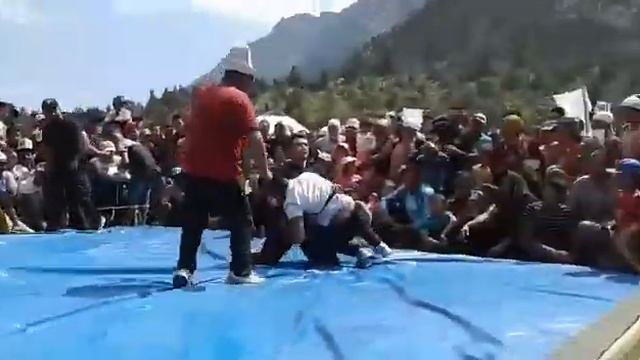 Аксы Курбаналы палбан смотреть онлайн