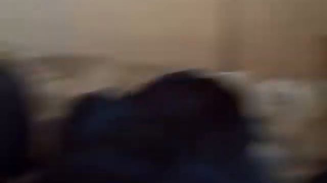 "Winter Light or there goes the Curtains" - The Kitten Chronicles смотреть онлайн