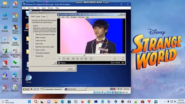 Windows XP BSOD 279 (2022) смотреть онлайн