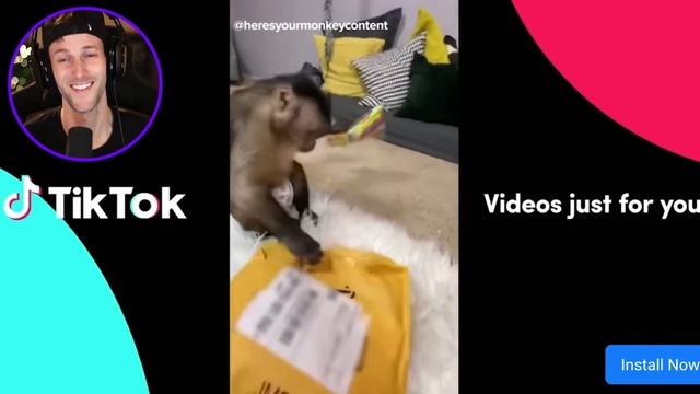 Roblox Piggy ILLEGAL Knockoff Games! смотреть онлайн