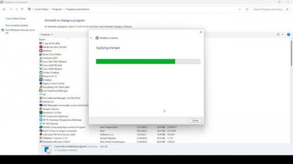 Installing IIS on Windows 11