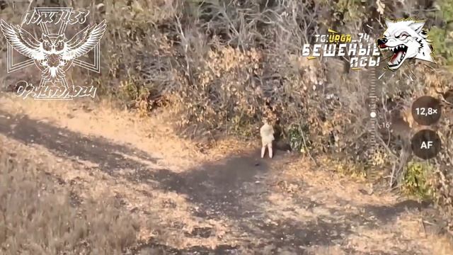 ⚡️СВО 18+ В ходе воздушной разведки бойцами был выявлен замаскированный ВПД расчета БПЛА ВСУ смотреть онлайн
