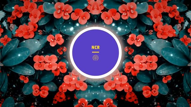 Go From My Window Folksong From The 16th Century Arr By John Dowland Guitar Played By F Hiemenz 198