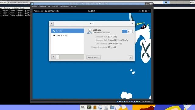 Configuración Servidor DHCP - Debian | Reserva смотреть онлайн