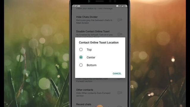 GB whatsapp online all settings/online hote huye offline/online toast notification/always online смотреть онлайн